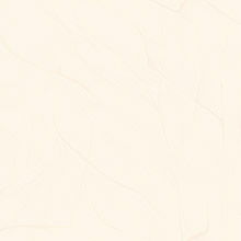 Flowing Kite Art Pattern ZH16298-5Y