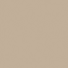Delbrun pattern ZH16535-2