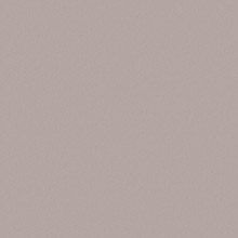 Delbrun pattern ZH16535-3