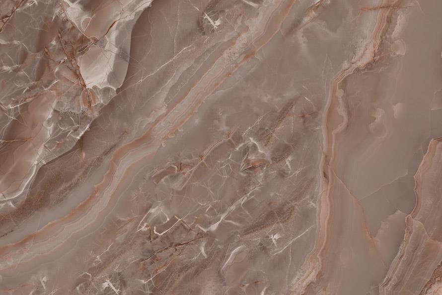 Dragon Chrysanthemum ZH16809-2Y