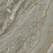 Dragon Chrysanthemum ZH16809-3Y