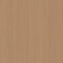 Sul elm wood ZH16518-2
