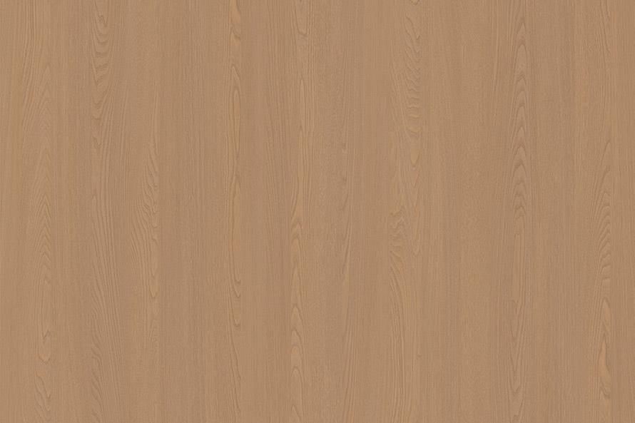 Sul elm wood ZH16518-2