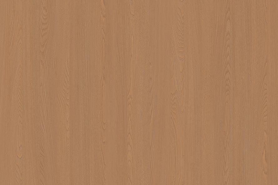 Sul elm wood ZH16518-3