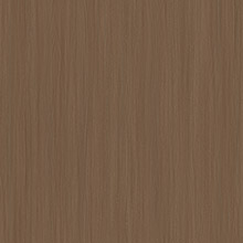 Manhattan elm ZH16523-1
