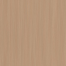Manhattan elm ZH16523-2